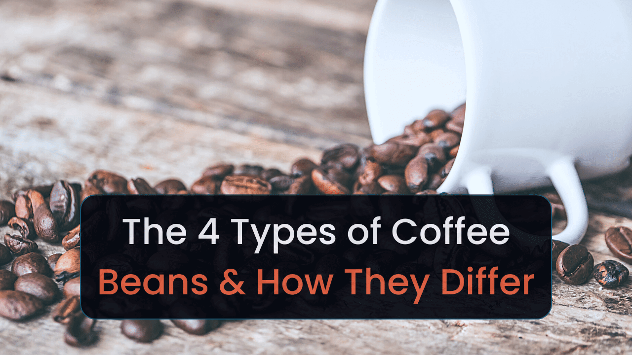 The 4 Types of Coffee Beans How They Differ
