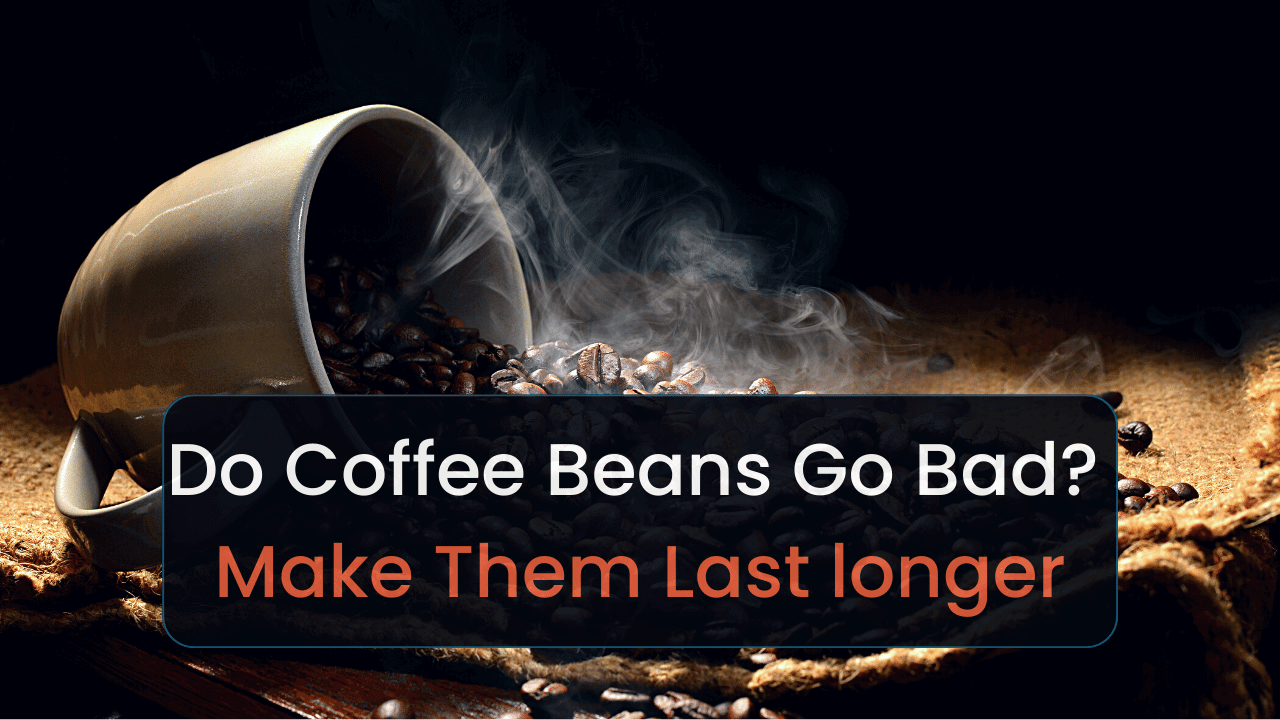 Do Coffee Beans Go Bad