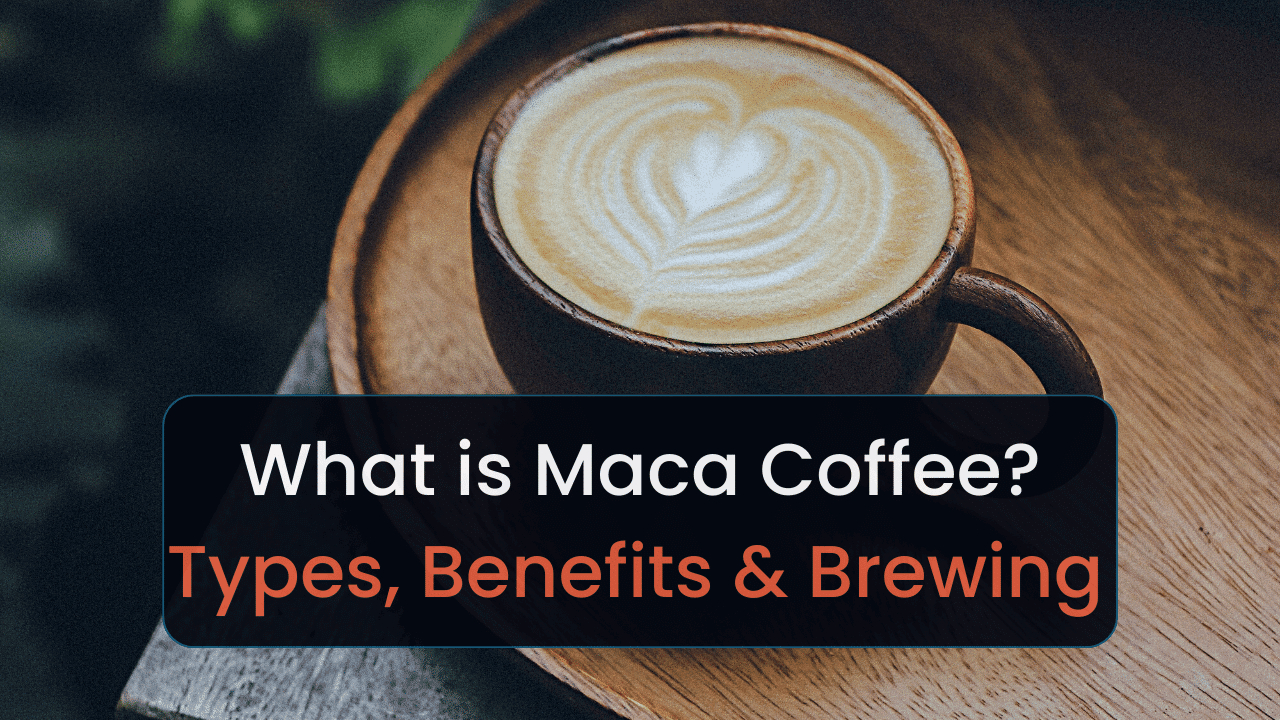 What Is Maca Coffee Types, Benefits & Brewing