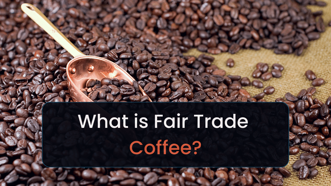 what is fair trade coffee