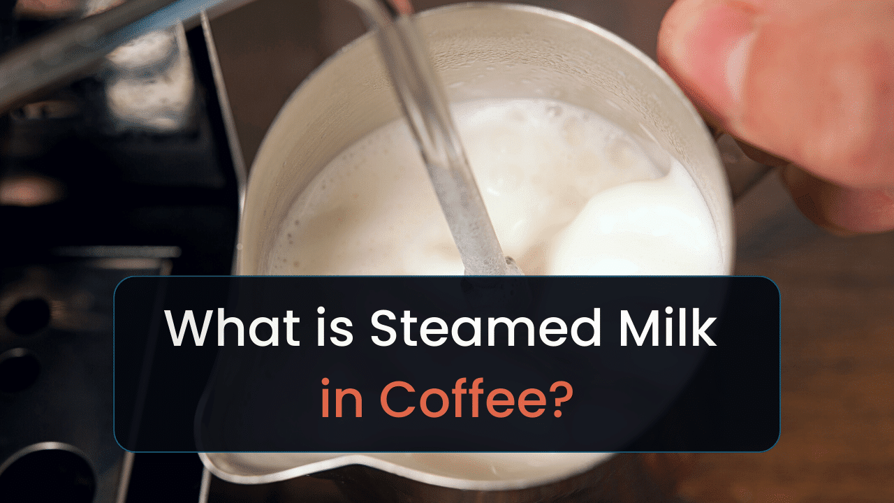 what is steamed milk