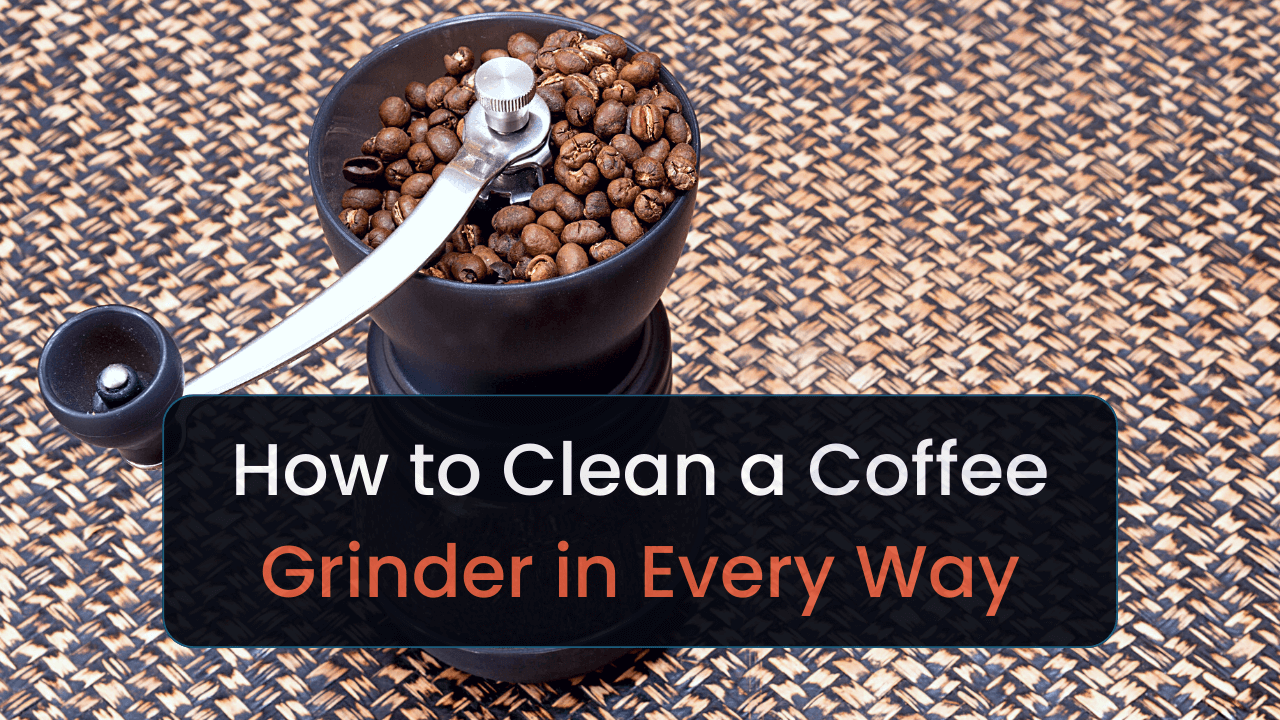 how to clean a coffee grinder in every way