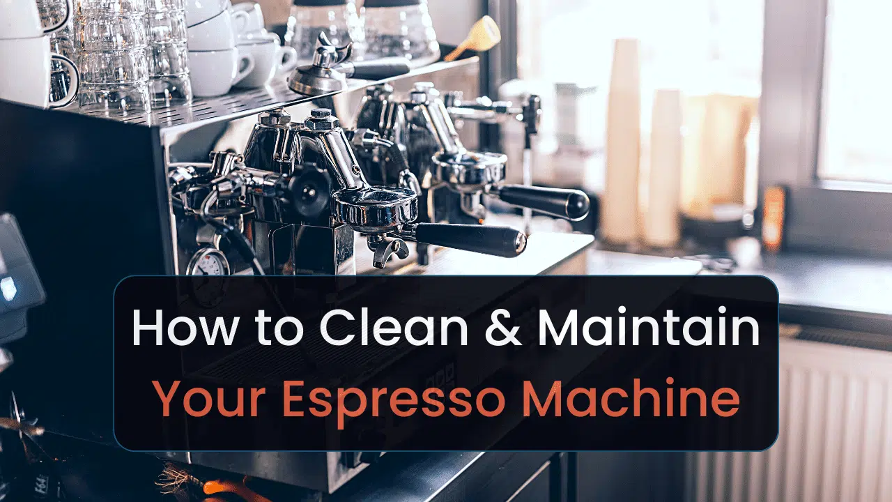 How to clean and maintain your L'OR BARISTA machine? 
