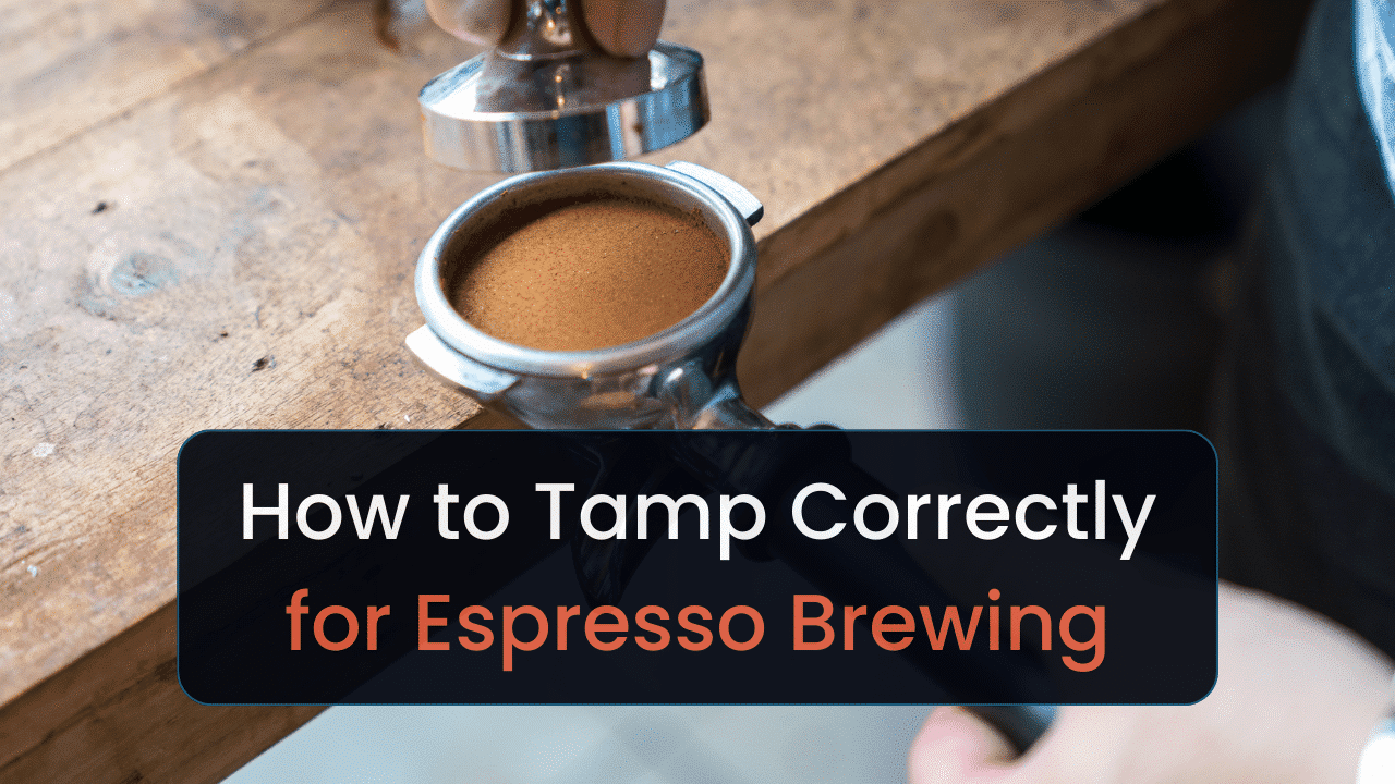 how to tamp espresso