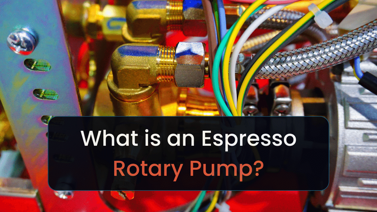 what is a rotary pump
